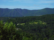 Blick vom Garten